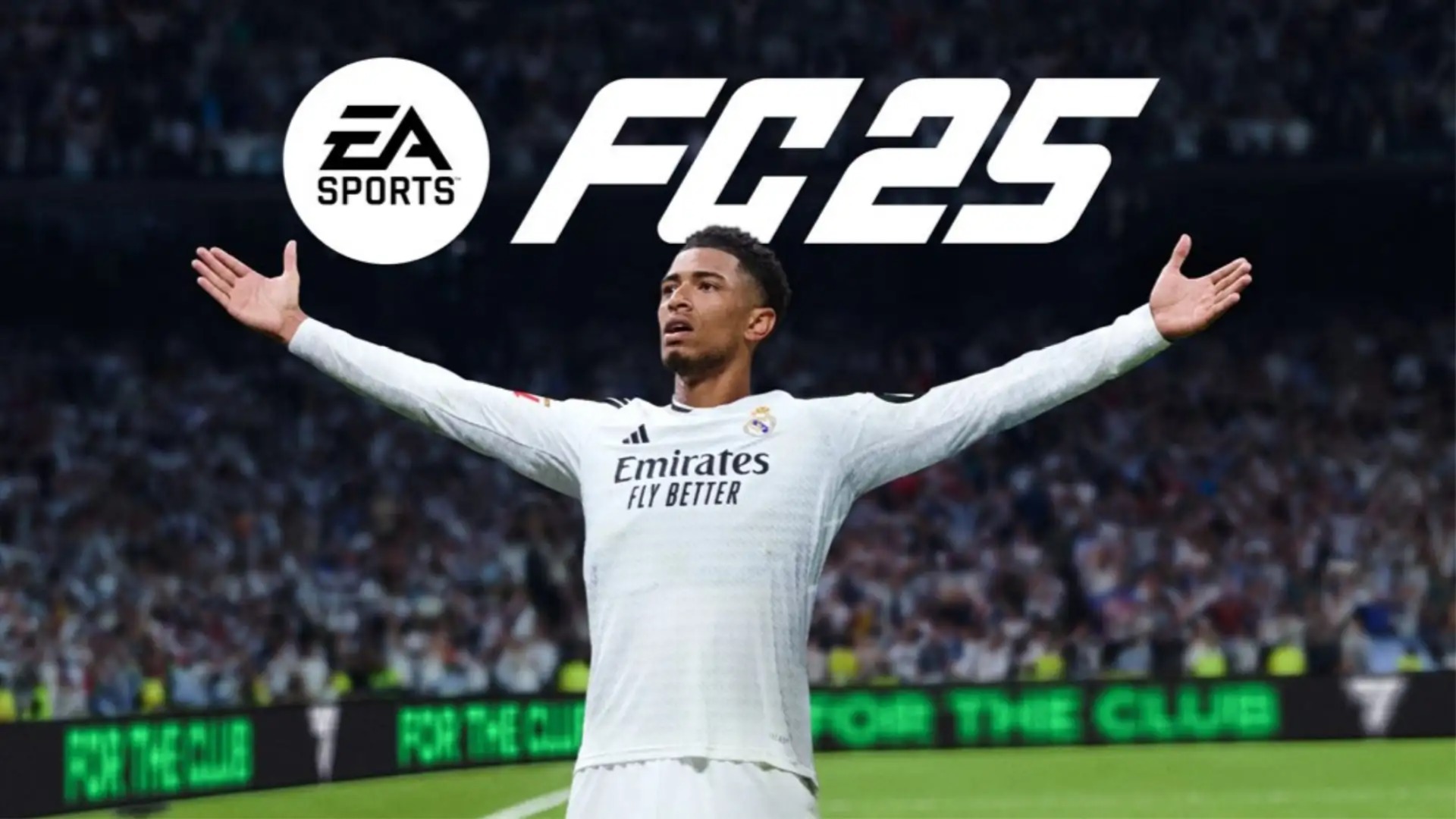 Main Banner Image 1